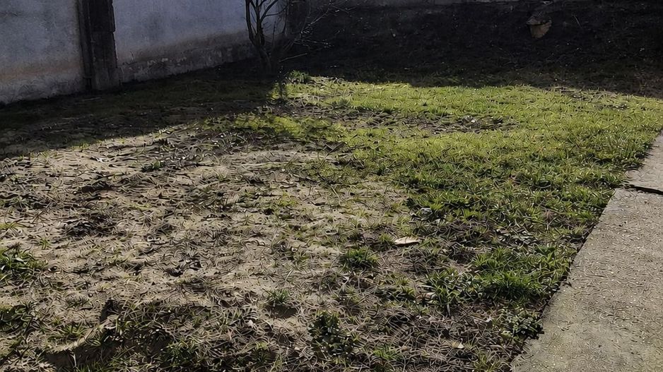 Casa de vanzare in Cugir - Poză 8