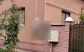Casa individuala Biled toate utilitatile - Poză 24