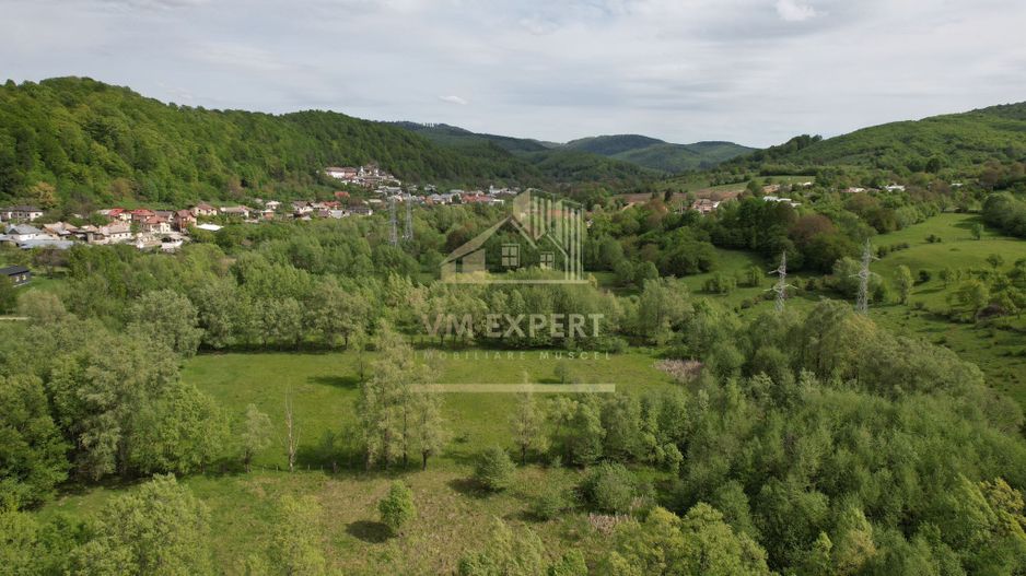 CASA 3 CAMERE, TEREN 6200 MP + 2 LACURI, CAMPULUNG, NAMAIESTI - Poză 26