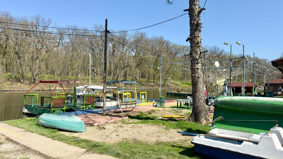Oportunitate! Teren 4390mp, deschidere la Lac Snagov 70m, 5 pontoane - Poză 9