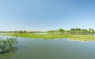 Vila exclusivistă de inchiriat | pe malul lacului Snagov - Poză 14