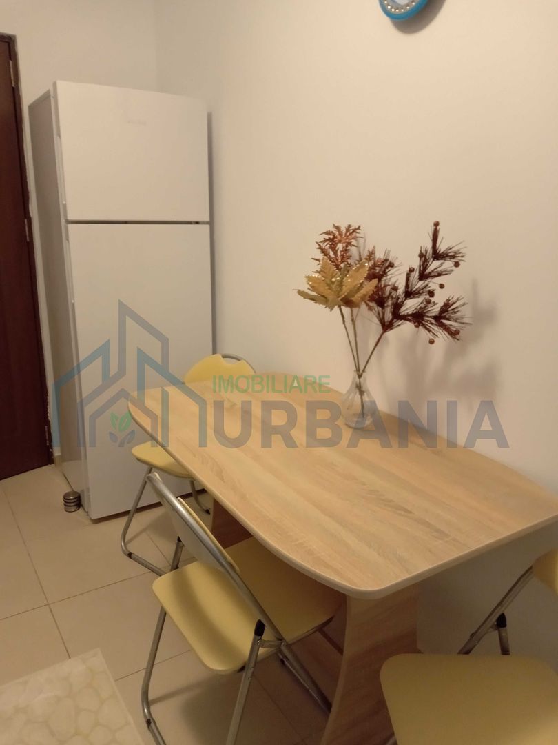 Apartament cu 1 cameră decomandat, mobilat și utilat, de închiriat în Iași - Poză 3