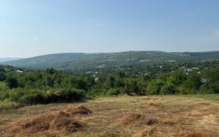 Teren intravilan de vanzare in Comarna, 4200 mp, asfalt si curent la limita, 20 km de Iasi - Poză 2