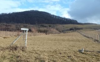 Teren la drum 2000 mp-pretabil investitie-Saratel - Poză 2