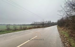 Giroc Teren 30.000mp PUZ APROBAT Pentru Case | Asfalt - Langa Padure