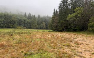 Teren Extravilan | 6.100 mp | Brodina | 41.500 € negociabil - Poză 8