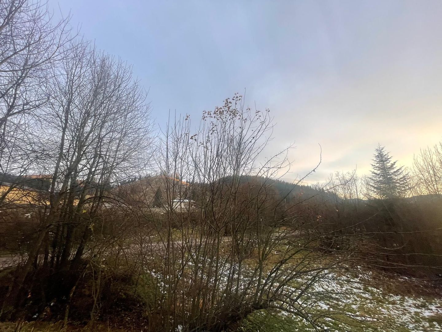 TEREN INTRAVILAN 2,26 HA | SUCEVITA | - Poză 13