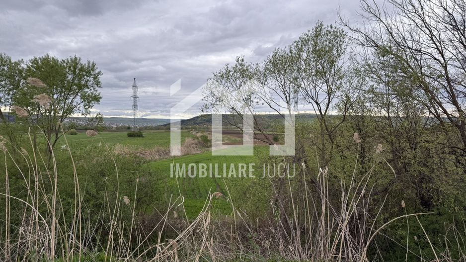 Teren intravilan – 1.738 mp | Jucu de Sus, zona Moliturii, front 23 - Poză 6
