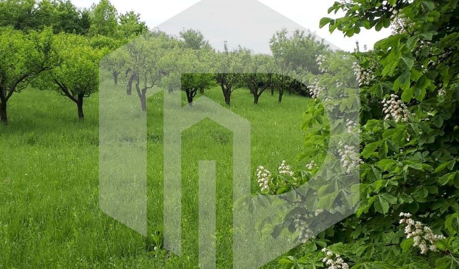 Teren de vanzare - Extravilan - 4288mp - Gusterita - 0% Comision - Poză 4