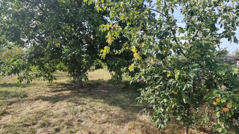 Teren 2000 mp de vânzare – Comana, deschidere la lac, aproape de Parcu - Poză 7