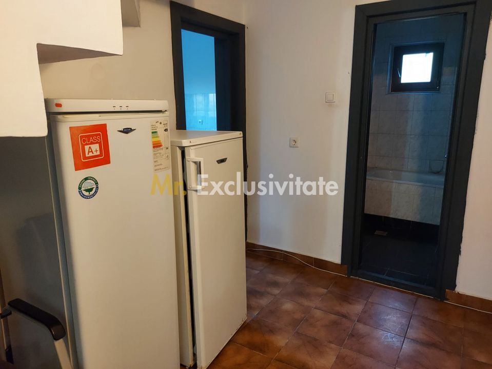 De închiriat: Hale si locuință pe 3 000 mp/ Bascov - Argeș - Poză 16