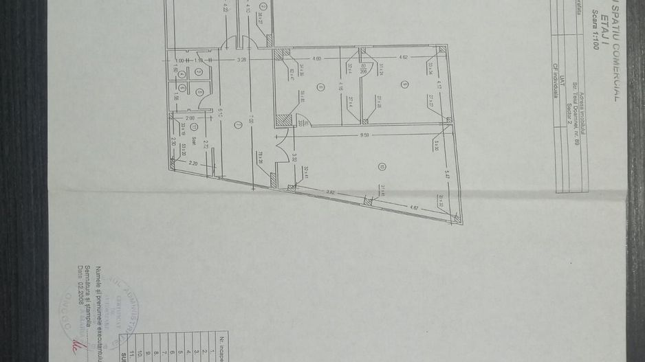 Teiul Doamnei numarul 89, Bucuresti, Sector 2 - Poză 6