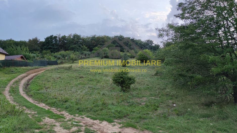 Teren de vanzare Onesti 4000mp - Poză 4