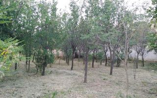 Ocazie unica 2case +1 loc casa/teren - Poză 4