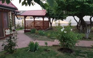 Casa Odaia Manolache - Poză 3