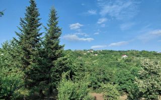 Vânzare teren pentru construcție locuință - Poză 6