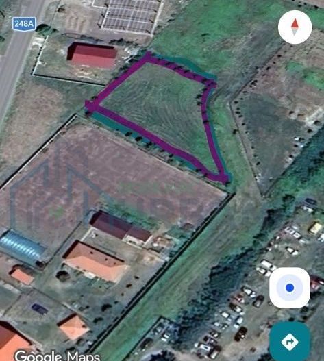 Teren de vânzare în Voinesti, Iași – zonă în dezvoltare, lângă Equester - Poză 2