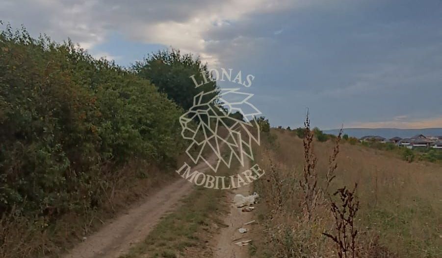 Teren intravilan 9400 mp,  ideal constructii, Dezmir, jud Cluj - Poză 9