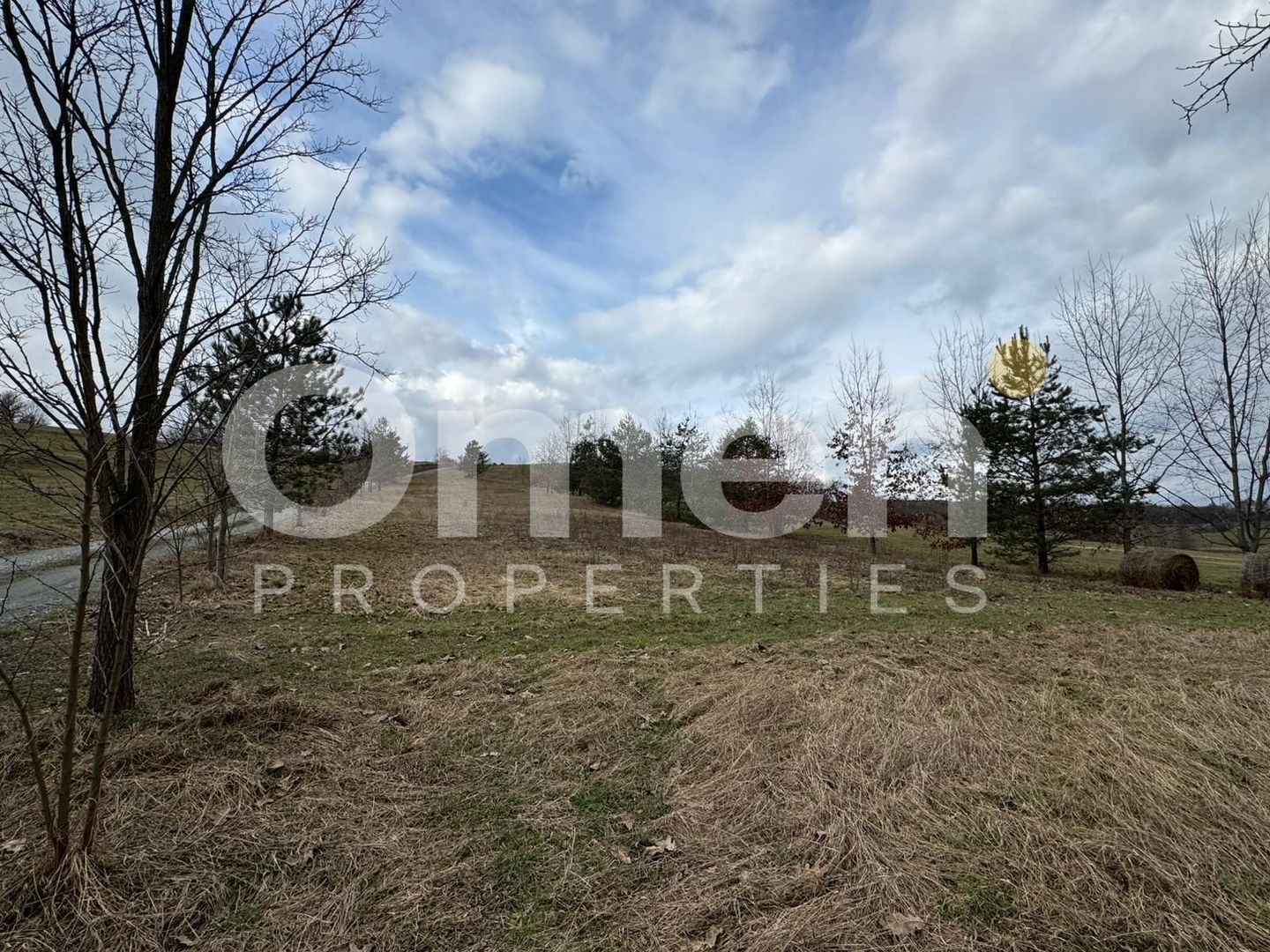 Teren de vânzare | 3423 mp | Copalnic | la drum principal - Poză 1