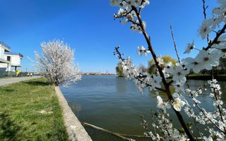 Duplex 4 camere _LUX_Modern***Lake view//Chitila - Poză 23