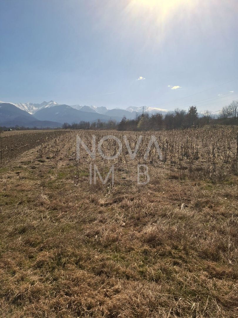 Teren extravilan de vanzare - Arpasul de Sus - Poză 6