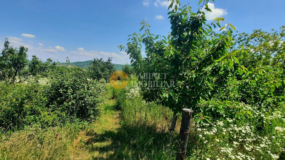 CASA PLAN PARTER + MANSARDA  1850  MP TEREN - Costuleni,Hilita🌿 - Poză 21