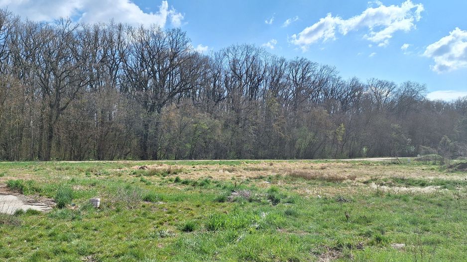 Teren duplex Dumbravita- Padurea Verde - Poză 2