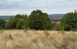 Teren de vânzare în Putna | 6.400 mp | 56 m front stradal