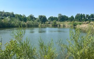 Iaz Piscicol Bacau Saucesti - Poză 11