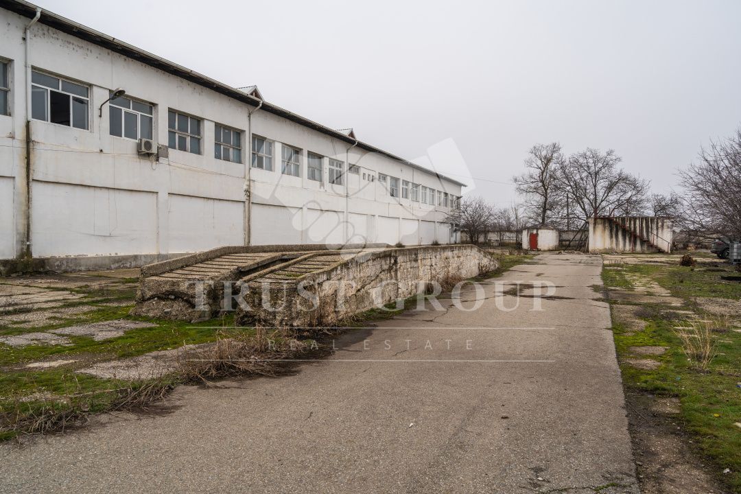 Teren 28.788m + Hale industriale + Sediu Firma - Poză 30