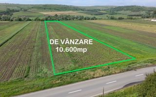 Teren 10.670 mp | Borșa Cluj | Front 38m | Utilități - Poză 4