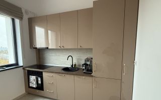 Apartment 2 camere de inchiriat, centrala proprie, parcare inclusa - Poză 3