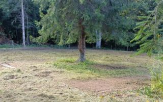 Teren Valea Avrigului- 1000 mp- Intravilan+ Certificat de urbanism - Poză 3