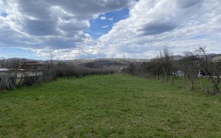 TEREN INTRAVILAN DE VÂNZARE – BEREVOIEȘTI, ARGES – 14.400 MP - Poză 1