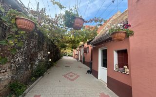 Casa Individuala | 150MPU | 494MP Teren | Sura Mare - Poză 19