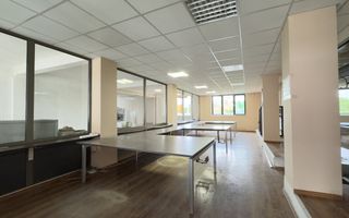 Inchiriere Clădire Producție, Depozitare, Birouri-Teren 3140 mp - Carei - Poză 6