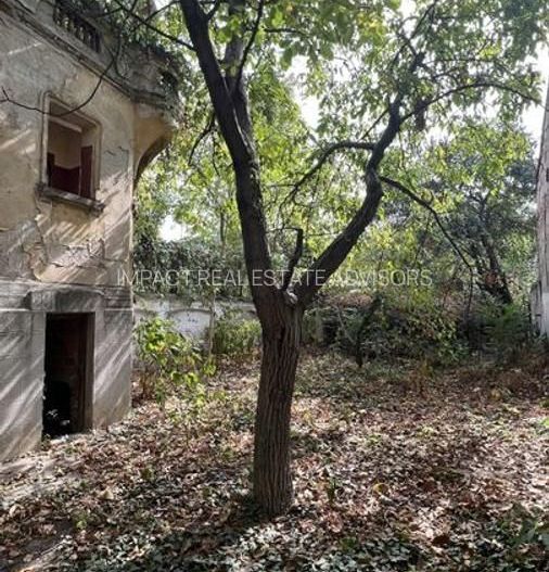 Casa de vanzare - Cismigiu - Poză 8