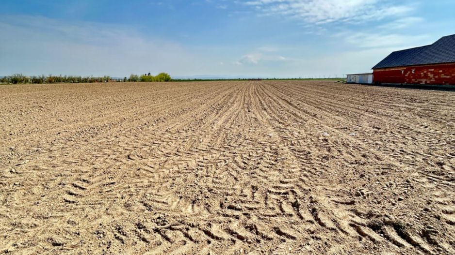 Teren intravilan – Oșorhei | 2878mp - Poză 3