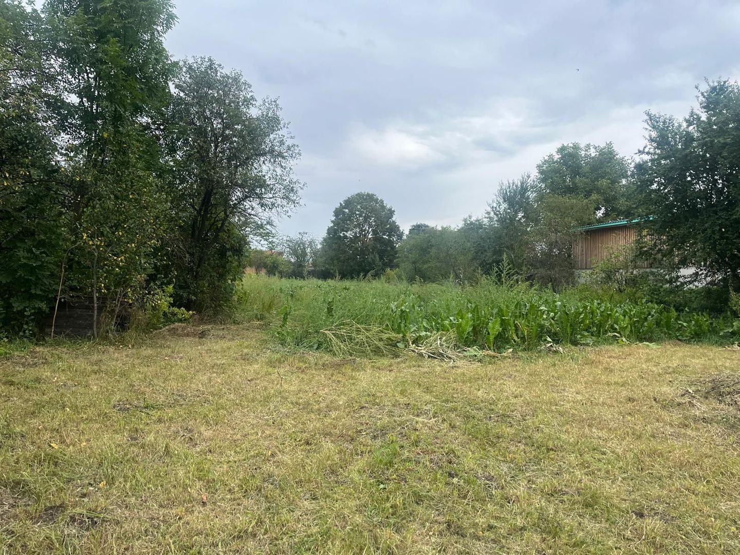 De vânzare teren intravilan, 2352 mp, Pachia, Covasna! - Poză 2