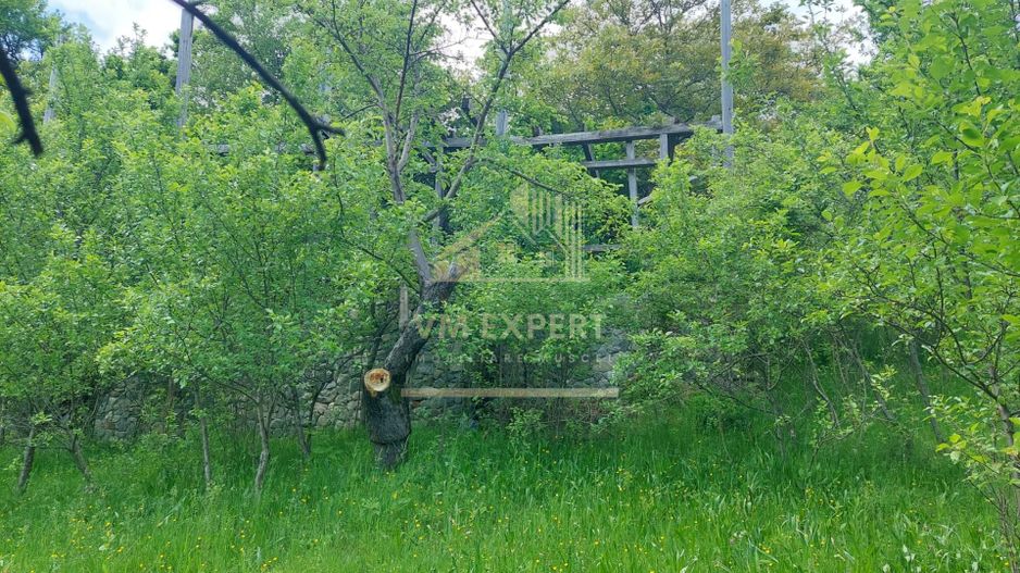 TEREN 1617 MP CAMPULUNG-MUSCEL - Poză 4