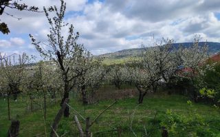 Teren intravilan de vanzare, comuna Barnova, judetul Iasi, 1150 mp, utilitati, destinatie constructie - Poză 1
