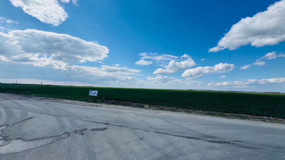 Teren extravilan 17700mp Biharia - Poză 3