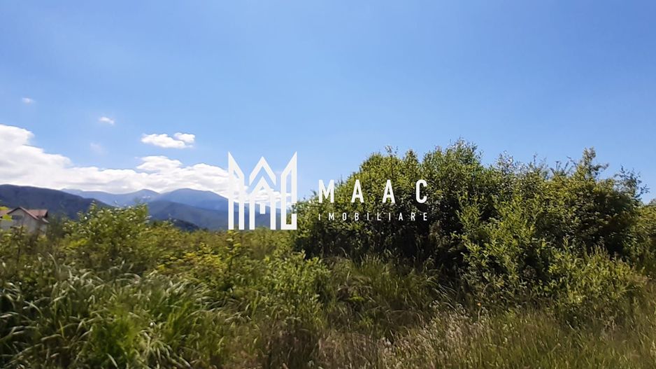 Teren Valea Avrigului | Investitie | 13000 MP - Poză 1