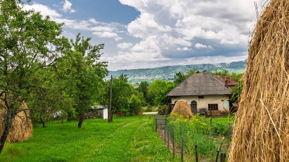 Casa moderna si casa bunicii + 6300 mp teren,Oaza autentica in Corbi Arges- - Poză 4