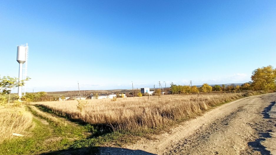 Teren agricol 40 ari Bubuieci - Poză 5