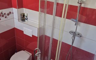 Casă zona Marul de Aur - Victoriei, teren 812 mp COMISION 0 - Poză 11