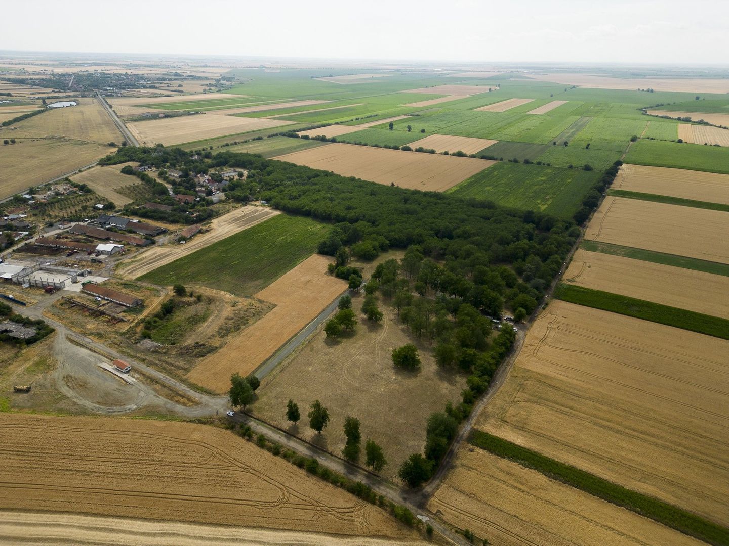 Teren intravilan Şofronea - Poză 4