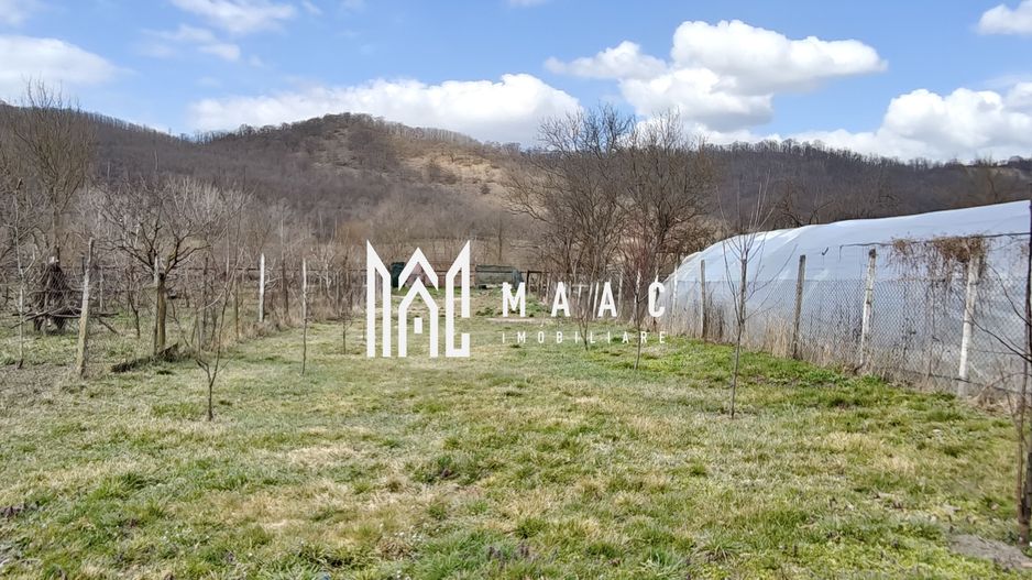 Casă 3 camere I Curte 814mp I Pivniță I Garaj I Axente Sever - Poză 18