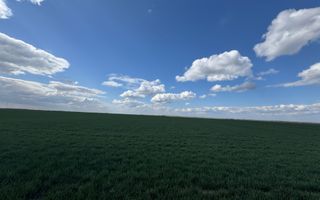 Teren extravilan 17700mp Biharia - Poză 5