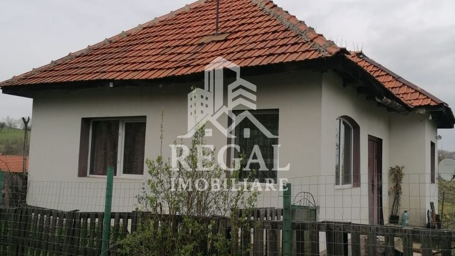 Casă de vânzare în Cerisor – liniște, natură și teren generos! - Poză 1